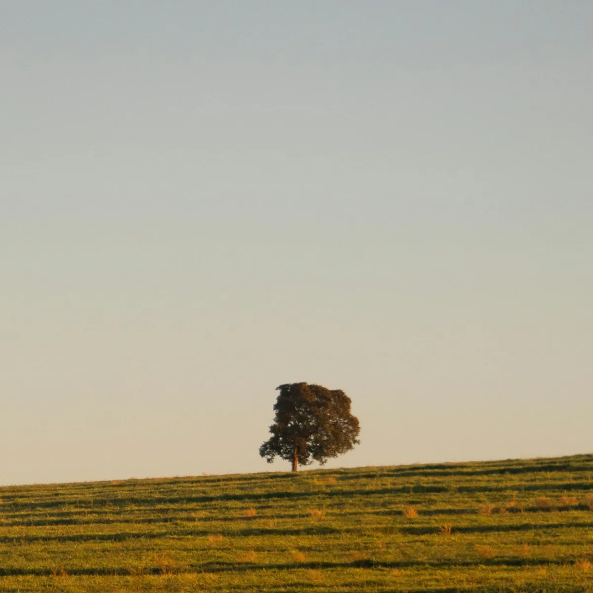 Welcoming therapy office