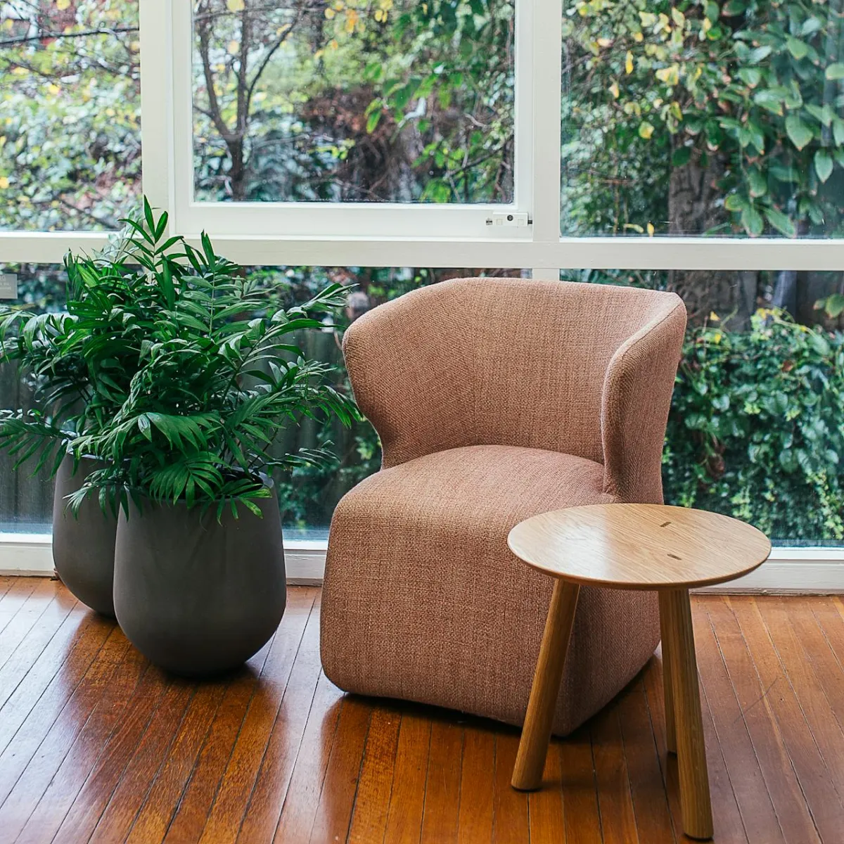 Contact Miracle Minds Therapy