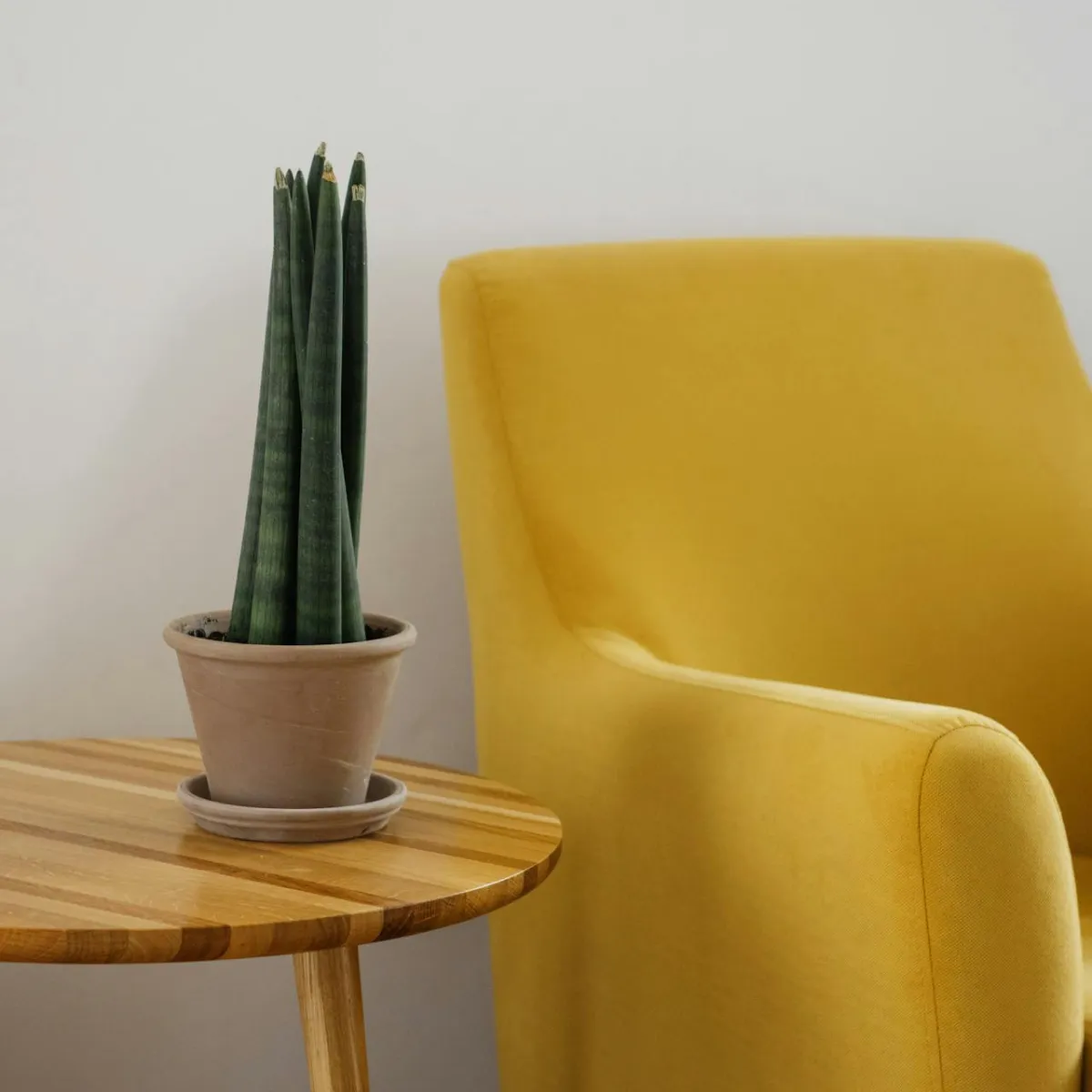 Miracle Minds Therapy service area support